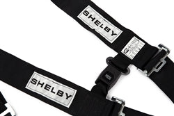 Shelby 5-point Harness