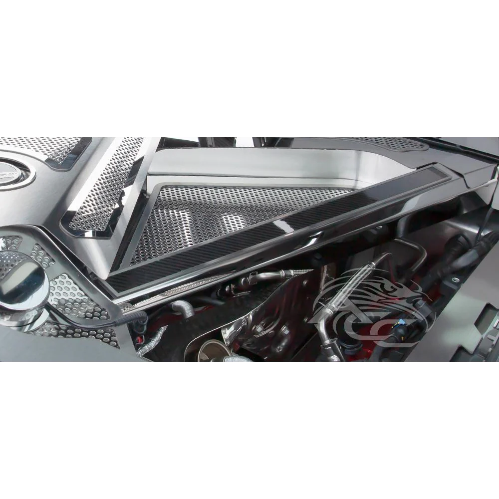 C8 Corvette - Rear Crossmember Covers w/Carbon Fiber Top Plate 2Pc : Stainless Steel