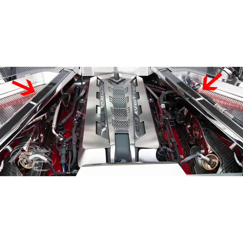 C8 Corvette - Rear Crossmember Covers w/Carbon Fiber Top Plate 2Pc : Stainless Steel